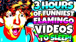 *3 HOURS* OF FLAMINGO TO FALL ASLEEP TO! (MARATHON/ROBLOX)