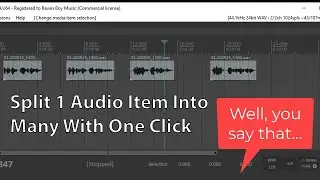 Reaper Tutorial 2021: Split 1 Audio Item Into Many Using The Auto Trim/Split Tool