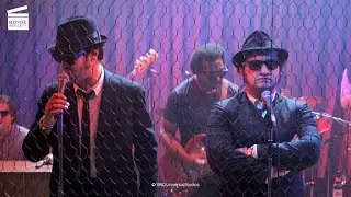 The Blues Brothers: Country music Scene (HD CLIP)