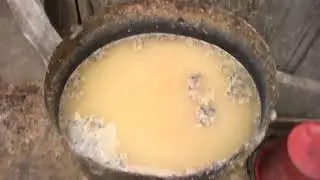 Экономия на Кормах: Простой Способ варить комбикорм для Кормления Свиней.