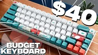 I Built a $40 Budget Custom Mechanical Keyboard!