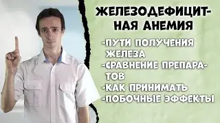 ЖЕЛЕЗОДЕФИЦИТНАЯ АНЕМИЯ: лечение. Как поднять железо?