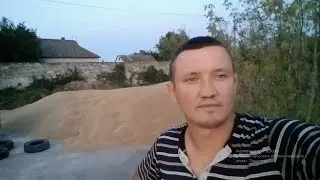 Итоги уборки 2022! Рекордная урожайность пшеницы! Супер ячмень!