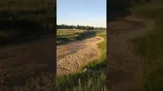 Шокай жамбылская область засуха 2021 г