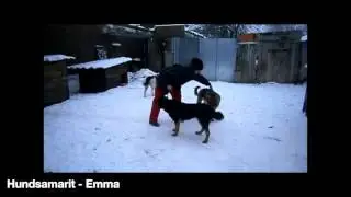 Hundsamarit - Emma - Adopterad