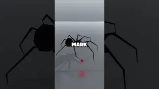 Animated Spider