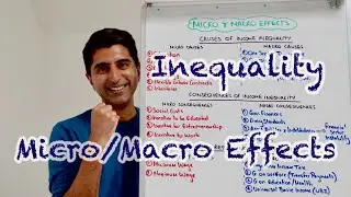 Income Inequality - Micro/Macro Effects - Perfect Paper 3 Revision! (AQA/Edexcel)