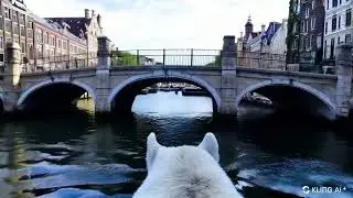 Polar Bear Swimming Under a Footbridge In Amsterdam (Kling AI)