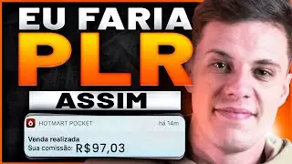 O QUE EU FARIA SE COMEÇASSE HOJE NO MERCADO DE PLR (Começando Do Zero em 2024)