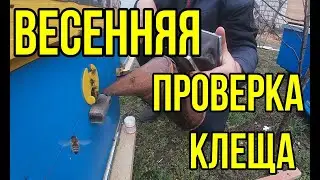 Весна проверка на  наличие клеща. Часть первая.