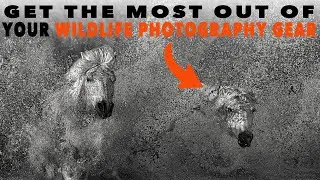 Is Your Wildlife Photography Gear Holding You Back? Here's The Fix