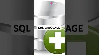 What is the SQL programming language