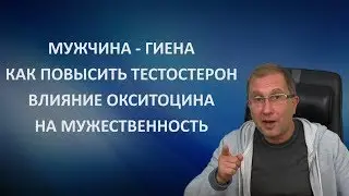 Мужчина - гиена. Как повысить тестостерон и влияние окситоцина на мужественность