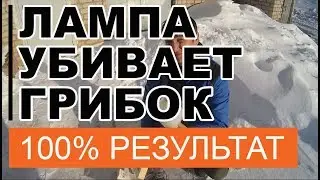 Как УБИТЬ Грибок 👿 в Бане # Применяем 💣 КВАРЦЕВАНИЕ