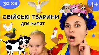 🐤 Тварини на фермі - навчальне відео для дітей українською 🇺🇦