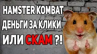 HAMSTER KOMBAT ГОЛОВНОГО МОЗГА 🧠 ИЛИ БАНАНЫ 🍌В СТИМЕ - ПРОСТОЙ ОТВЕТ