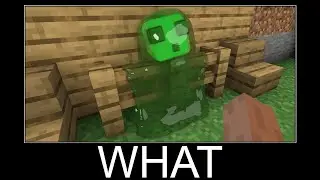 Minecraft realistic wait what meme, Lava, Water, Slime #1006