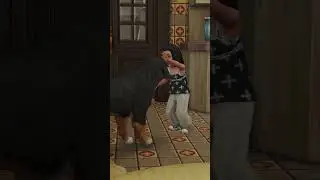 [The Sims 4] Ранчо в наследство, жизнь после.