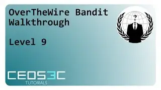 OverTheWire Bandit Walkthrough Level 9