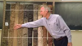 Soil Basics: Soil Profiles