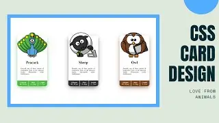 CSS Card | Animals Card Design with HTML and CSS