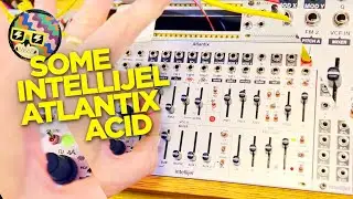 Intellijel ATLANTIX: No Talking Acid Test 😋