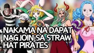 Nakama na dapat nag join sa Straw Hat Pirates