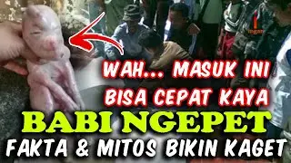 Ngepet solusinya?, ini fakta mitos babi ngepet.