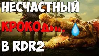 Невероятные и абсурдные истории из игр. Крокодил в RDR 2, величайший донат, клон The Elder Scrolls