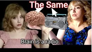 Brain is a Radio, Explore the thought provoking ideas of David Bohm