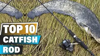 Best Catfish Rods In 2024 - Top 10 Catfish Rod Review