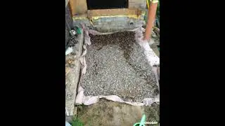 Дела дачные... фильм второй
