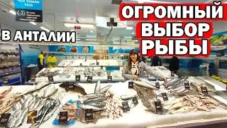 СВЕЖАЯ РЫБА В АНТАЛИИ - где купить? Самый большой выбор рыбы - METRO