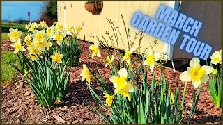 March 2022 Garden Tour | What's In Bloom Early Spring