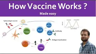 How vaccines work? With an example of SARS CoV 2 or Novel Coronavirus for Covid-19.