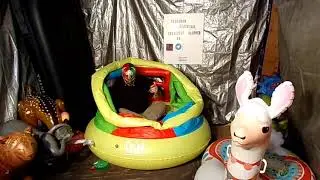 Poke Popping Inflatable Bouncer