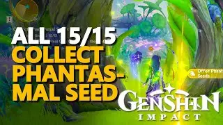 Collect Phantasmal Seed Genshin Impact