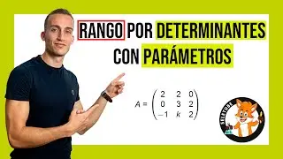 RANGO de una MATRIZ por DETERMINANTES con PARÁMETROS [Explicación FÁCIL]