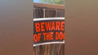 watch out angry dog