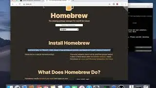 install mongodb on mac with homebrew 2019