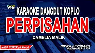 CAMELIA MALIK - PERPISAHAN KARAOKE NADA WANITA (DANGDUT KOPLO)