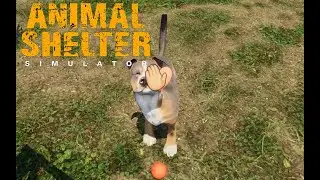 Animal Shelter Simulator (No Commentary Gameplay)