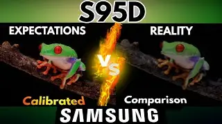 What Most People Think The Samsung S95D Looks Like vs How it ACTUALLY looks!