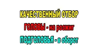 Правильный, быстрый, качественный ОТБОР ГОЛОВ и ПОДГОЛОВИЙ! НАГЛЯДНО нюансы, методика, объяснение!