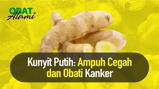 Kunyit Putih Rempah Langka, Sejuta Khasiat | Hidup Sehat tvOne