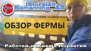 Обзор фермы, где я работаю в Норвегии