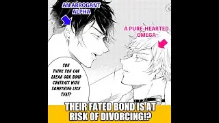 Divorce Me, Mr. Alpha - Review #spoiler #bl #yaoi #manhwa #manga #cute #couples #tiktok #boyslove