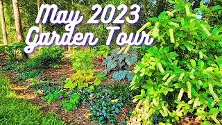 May 2023 Garden Tour | What's In Bloom During May/Spring