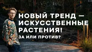 Искусственные или натуральные растения | Рекомендации Петра Лари