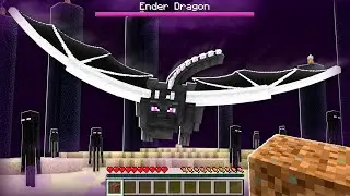 BEATING THE ENDERDRAGON WITH A DIRT BLOCK!